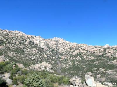 Parque Regional de la Cuenca Alta del Manzanares - La Gran Cañada; viajes naturaleza floracion jerte